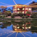 카페인하원 이미지