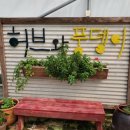 허브와풍뎅이