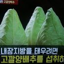 고깔양배추로 6개월만에 50kg 감량 성공 이미지