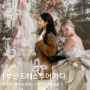 보드페어리 이미지