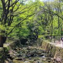 충남 공주 계룡산 국립공원 동학사~^^* 이미지