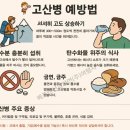 네팔 히말라야 푼힐 + ABC 등반 no-1 이미지