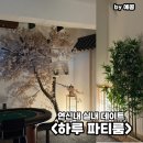 연신내 실내 데이트 코스 추천 하루 파티룸 Haru 내돈내산 후기