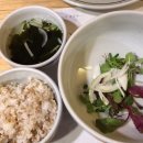 달맞이 흑두부 이미지