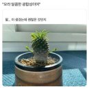 용산-이촌-198 | 선선날씨 최고야