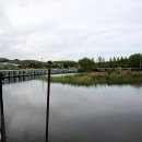 황금낚시 이미지