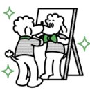 경희 현대 태권도 이미지