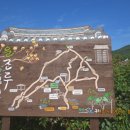 향기고추
