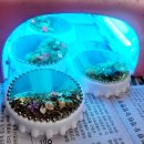 봉암동작은도서관 이미지