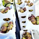 (주)한누리 꽃담 이미지