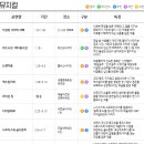 밀레니엄게임 스테이지 이미지