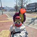 올리브요양병원 | [재활일기] 외상성뇌출혈 사지마비환자의 외출, 병원밥아닌 식당에서 밥먹기 도전!