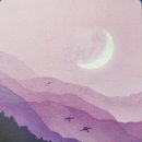 Waxing거기 네이버블로그