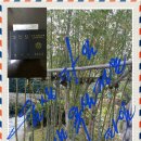 주홍닭발 이미지