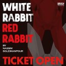 화이트래빗 이미지