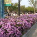 성대초등학교 이미지