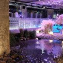 낙원라이브