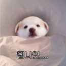 산아 Daum카페