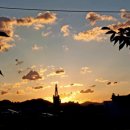 해가뜨다 이미지