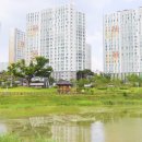 대화공원 이미지