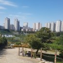 유승카센타 이미지