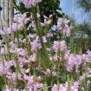 대구떡방아간 이미지