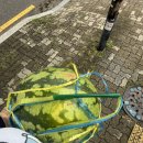 정조로 914 | 덥고 그래도 먹고 더운 일상