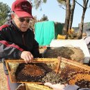 강정동-65 이미지