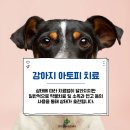 하남동물병원 이미지