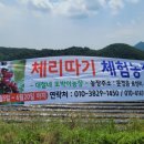 또박이농장 네이버블로그