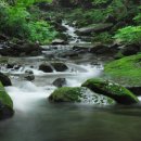 청산유술