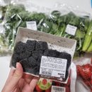싱싱청과마트