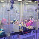 뽑기캐슬 이미지