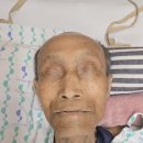 2025-8-8 소중한사진 한 장의 보물 이미지