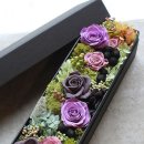 향기고운Ⅱ 이미지