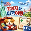 농림축산검역본부 | 반려동물과 미국 출국하기(2)/강아지위탁수화물/건강증명서/CDC/농림축산검역본부방문예약