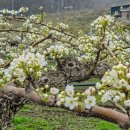 이화1길 이미지