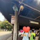 [용인 여행] 간식 먹으러 에버랜드 갔다 온 후기 | 스타벅스 판다초코 오레오츄러스 귀여운소시지 구슬...