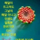 인사인 - 경산시 원효로 323 | 인사인