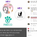 파이리코 이미지