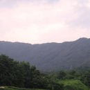삼승면사무소 Daum카페