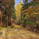 수운 최제우 생가 화장실 | 경주 숨은 단풍 명소, 용담정 가을빛이 가장 고요하게 내려앉는 곳