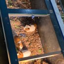 깔깔마녀체험교육농장 | ​[시흥 아이와 가볼만한 곳] 주말에 쌍둥이와 함께 다녀온 '온동물농장' 생생 방문기!