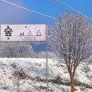 카페숲으로