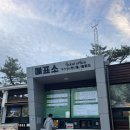 서귀포자연휴양림야영장 | [캠핑] 1박 2일 제주도 서귀포 자연휴양림 편백숲야영장 이용후기