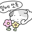 영신화원 이미지