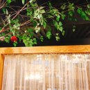 안림사거리 이미지