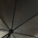 수원-0215 | Diary, 나는 궁궐人이었을까