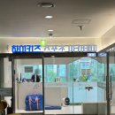 하이키즈 스포츠 아카데미 | 하이키즈스포츠 아카데미 | 4세 방과 후 활동으로 체육수업