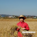 황금뜰농장 이미지